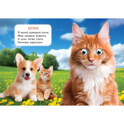 Цікаві книжки з оченятами «Хатні улюбленці» Віршики для малечі у картонному форматі (9786178405700)