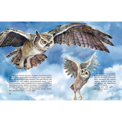 Книга Акварельні історії. Совеня, яке водило на прогулянки луну - Єва Сольська (9786170968173) Книга Акварельні історії. Совеня, яке водило на прогулянки луну - Єва Сольська (9786170968173)