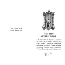 Книга Погоня во времени - Салли Николлз (9786170973344)