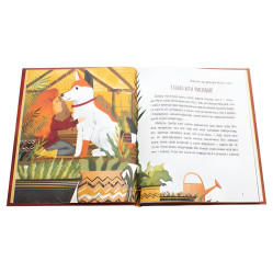 Книга Когда я была лисицей - Поставная Таня (9789669820426)