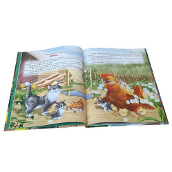 Книга Лучшие рассказы для малышей (9786177403547)