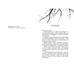 Книга Провідник : Вигнанці. Книга 3 - Клер Мак-Фолл (9786170972682)