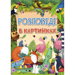 Рассказы в картинках - (9786175368985)