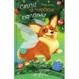 Книга Санни и волшебный ящик - Мэри Блэр (9789669824554)