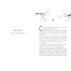 Книга Серафина. Серафина и расколотое сердце. Книга 3 - Роберт Битти. Книга Серафина. Серафина и расколотое сердце. Книга 3 - Роберт Битти.