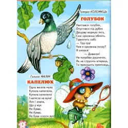 Книга «Веселые стишки о зверятах» - стишки для детей с иллюстрациями (9786177403516) Книга «Веселые стишки о зверятах» - стишки для детей с иллюстрациями (9786177403516)