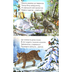 Книга Отгадайко. Загадки - Сборник авторов (9789661694650)