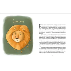 Книга Енот Ракета и другие герои - Евгения Завалий (9789664481868)