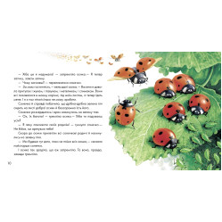 Книга Жовтий гостинець - українські письменники (9786170917379) Книга Жовтий гостинець - українські письменники (9786170917379)