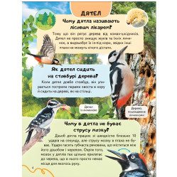 Цікава енциклопедія "Птахи* Книга для дітей (9786178638344) Цікава енциклопедія "Птахи* Книга для дітей (9786178638344)