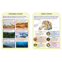 Дикие животные. Мини-энциклопедия Дикие животные. Мини-энциклопедия