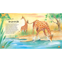 Удивительные животного мира Удивительные животного мира