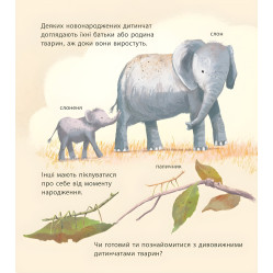 Дивовижні дитинчата тварин