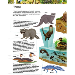 Удивительный мир животных. Детская энциклопедия Удивительный мир животных. Детская энциклопедия