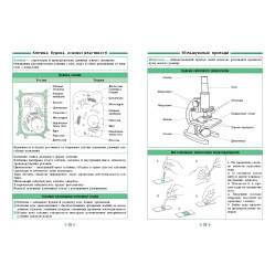 Справочник по таблицам. Естествознание. Биология. 5–6 классы
