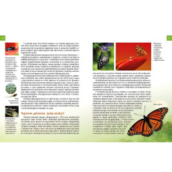 Энциклопедия для любознательных. Животные - мастера маскировки (9789669359650)