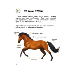Энциклопедия дошкольника Лошади Энциклопедия дошкольника Лошади