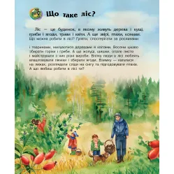 Энциклопедия дошкольника Лес Энциклопедия дошкольника Лес