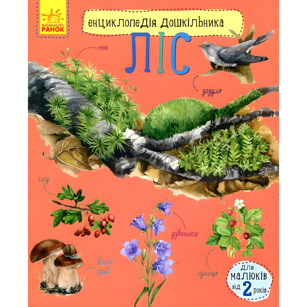 Енциклопедія дошкільника. Ліс Енциклопедія дошкільника. Ліс