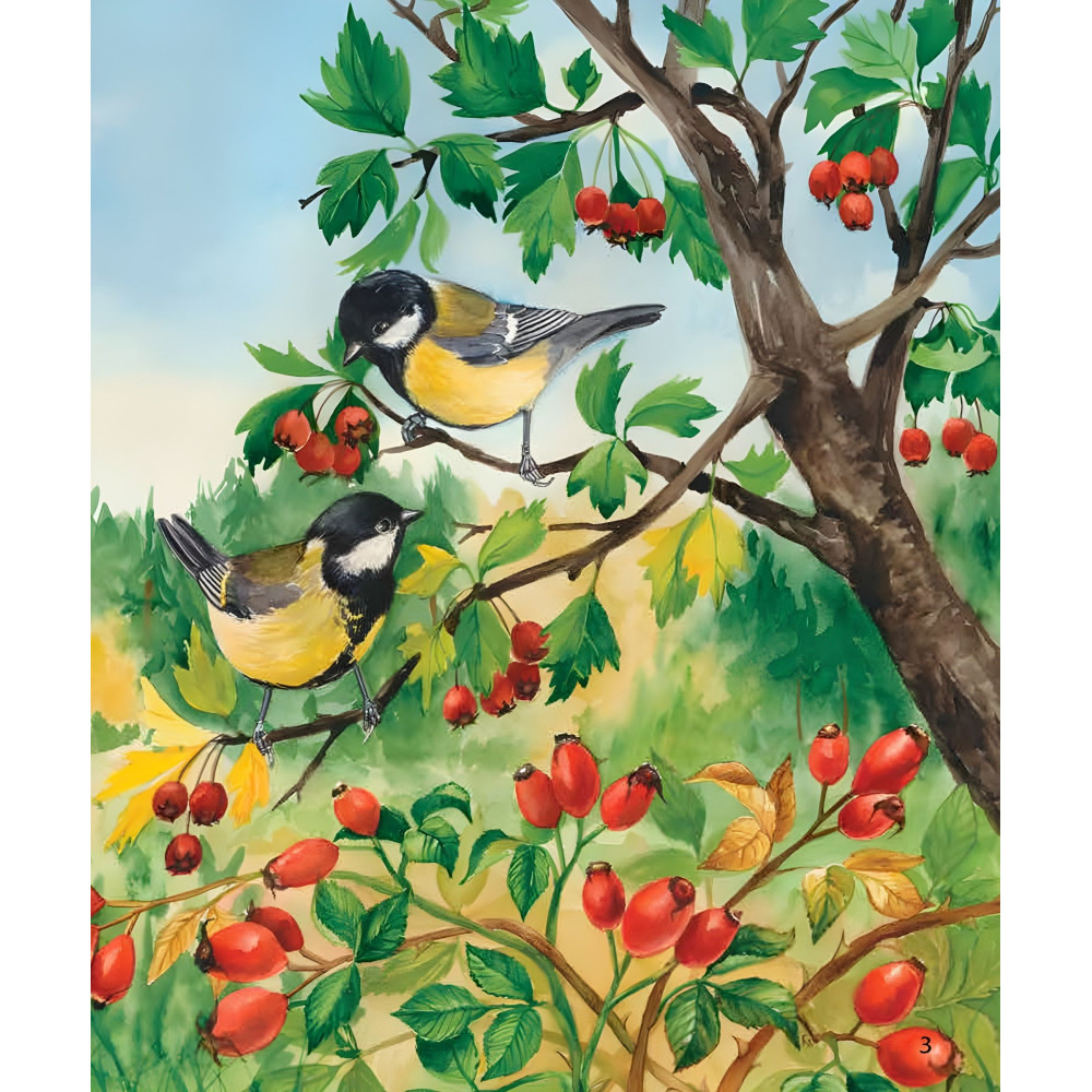 Енциклопедія дошкільника. Ліс Енциклопедія дошкільника. Ліс