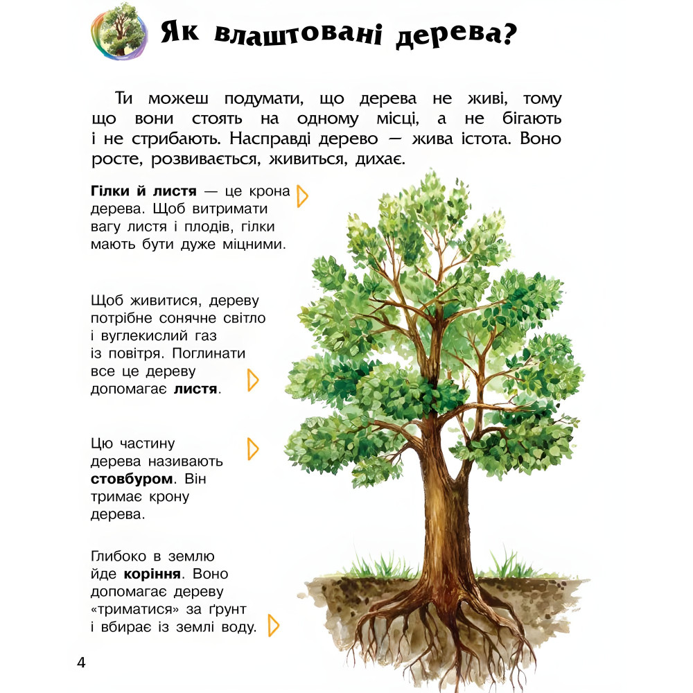 Енциклопедія дошкільника. Ліс Енциклопедія дошкільника. Ліс