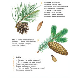 Энциклопедия дошкольника Лес рос (9786170936189)