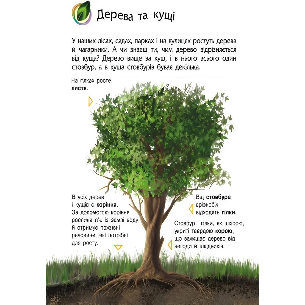 Энциклопедия дошкольника Природа Энциклопедия дошкольника Природа
