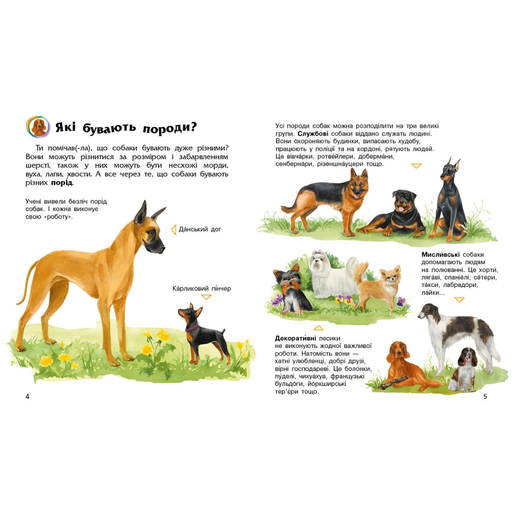 Энциклопедия дошкольника Собаки Энциклопедия дошкольника Собаки