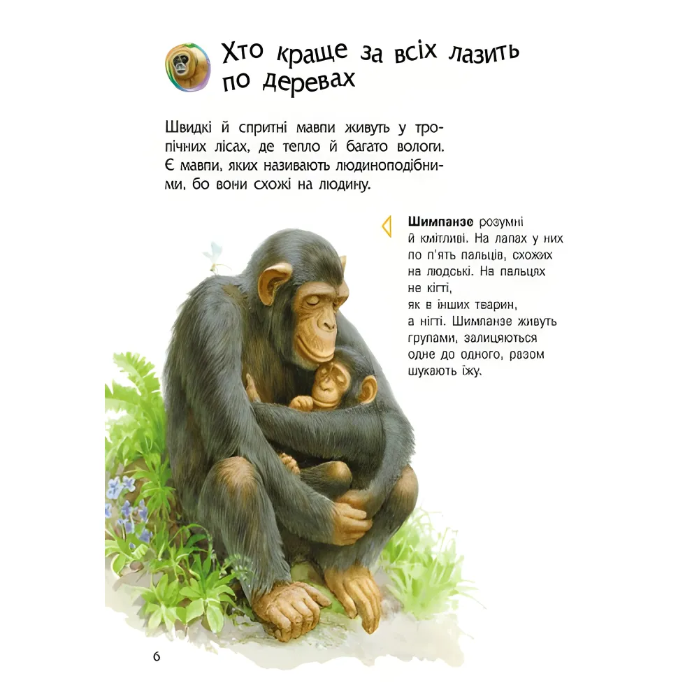 Энциклопедия дошкольника Животные Энциклопедия дошкольника Животные