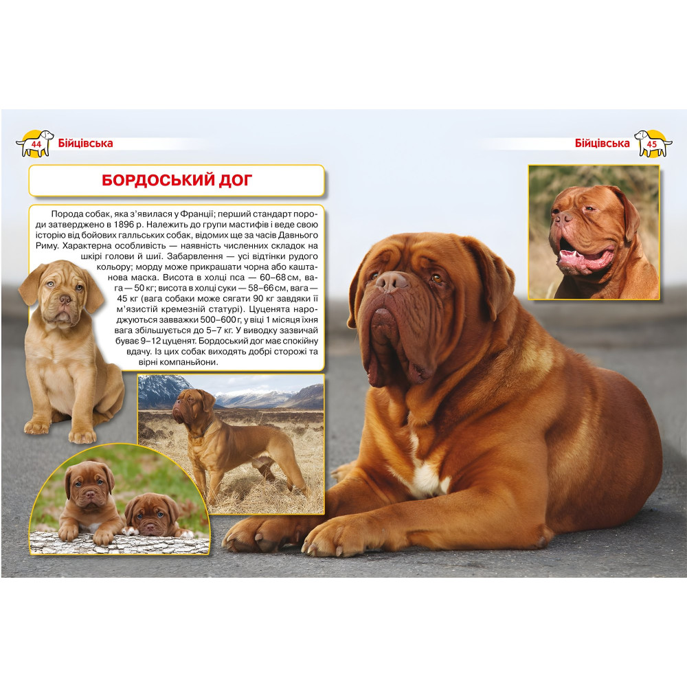 Енциклопедія. Собаки Енциклопедія. Собаки