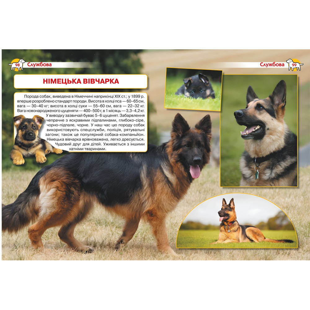 Енциклопедія. Собаки Енциклопедія. Собаки