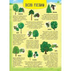 Енциклопедія з наліпками. Лісові тварини та рослини