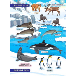 Энциклопедия с наклейками. Животные мира Энциклопедия с наклейками. Животные мира