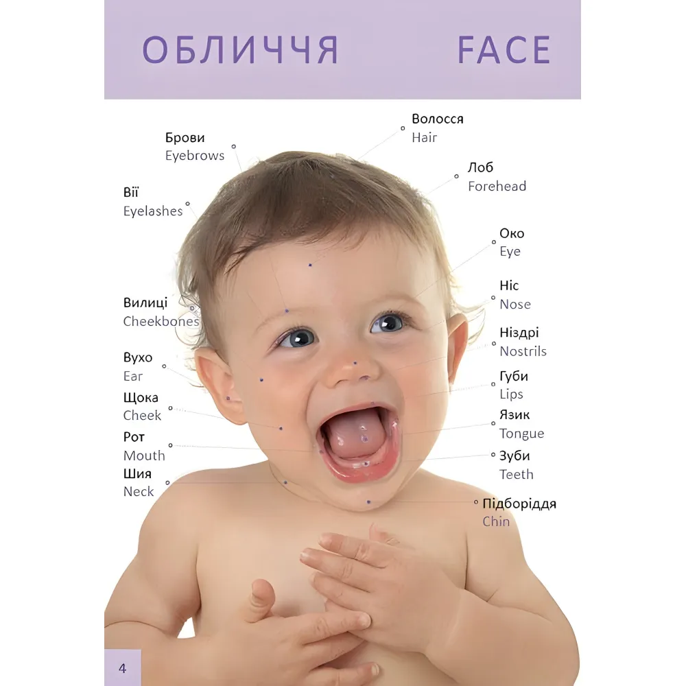 Книга для самых маленьких «Первая книга малыша / Baby's First Book» с яркими иллюстрациями (9789669353108) Книга для самых маленьких «Первая книга малыша / Baby's First Book» с яркими иллюстрациями (9789669353108)
