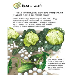 Энциклопедия дошкольника. Явления природы (9786170965189) Энциклопедия дошкольника. Явления природы (9786170965189)