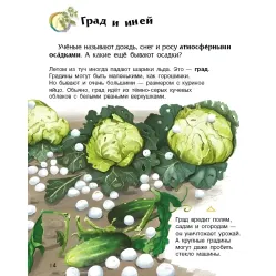 Книга Енциклопедія дошкільника. Явища природи(рос) (9786170965189) Книга Енциклопедія дошкільника. Явища природи(рос) (9786170965189)