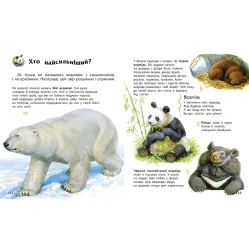 Энциклопедия дошкольника. Сборник. (Укр) Утро (9786170973443)