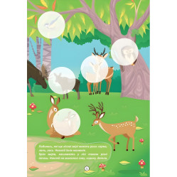 Книга «Лісові звірята. Малюки-розумнички» – розвивальна книжка для дітей, яскраві ілюстрації (9789669892843) Книга «Лісові звірята. Малюки-розумнички» – розвивальна книжка для дітей, яскраві ілюстрації (9789669892843)