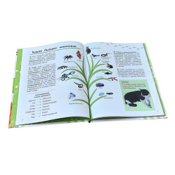 Книга Відкриваємо світ «Тварини» енциклопедія для дітей (рос) (9786170950161)