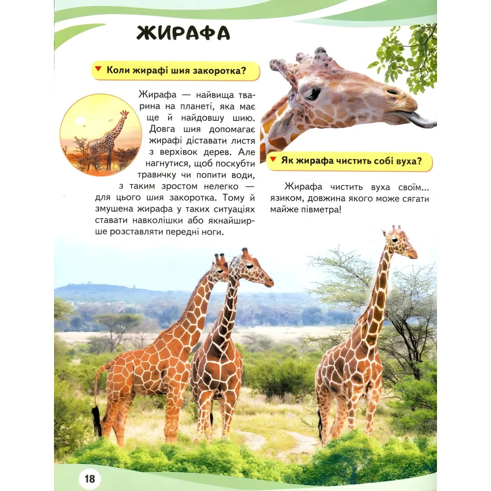 МАМИ ТА МАЛЮКИ тигр МАМИ ТА МАЛЮКИ тигр