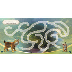 Мавка. Загадковий світ. Лабіринти з наліпками (Укр) (9786170989932)