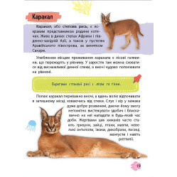 Миниэнциклопедия. Животный мир