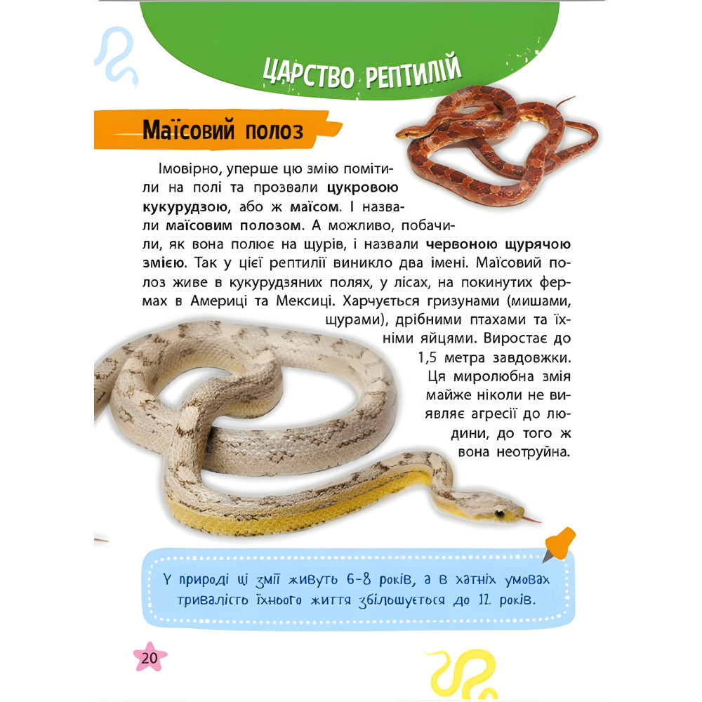 Миниэнциклопедия. Животный мир Миниэнциклопедия. Животный мир