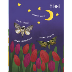 Моя перша енциклопедія. Як народжується метелик? Моя перша енциклопедія. Як народжується метелик?