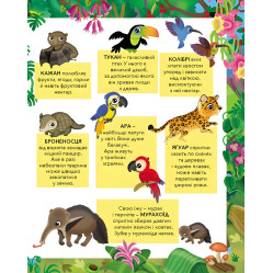 Моя первая книга наклеек. Забавные животные. Джунгли
