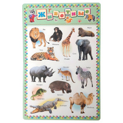 Моя первая книга. Животные .Транспорт. Время .ENGLISH. Энциклопедия на картоне (9789669135155)