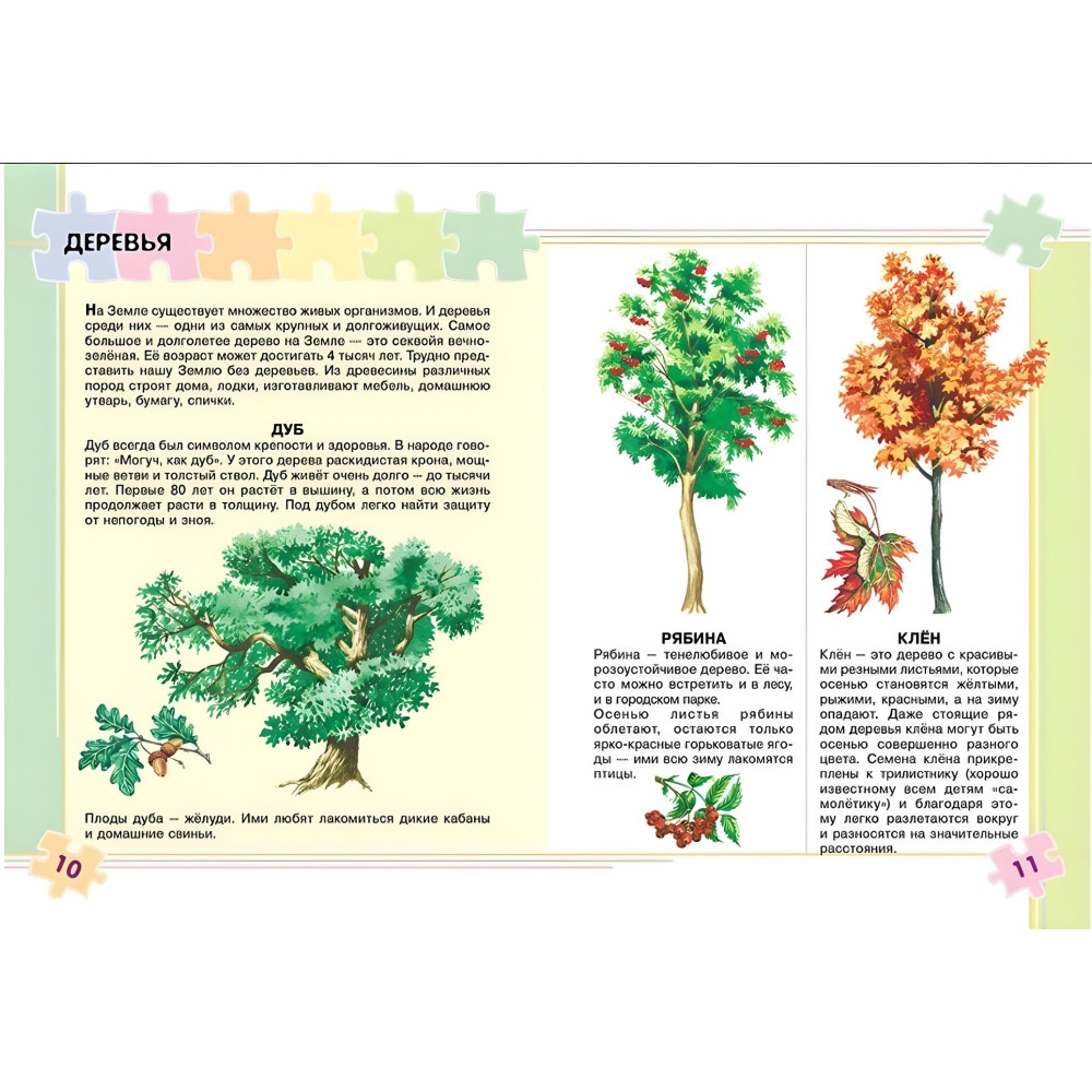 Моя первая энциклопедия Моя первая энциклопедия