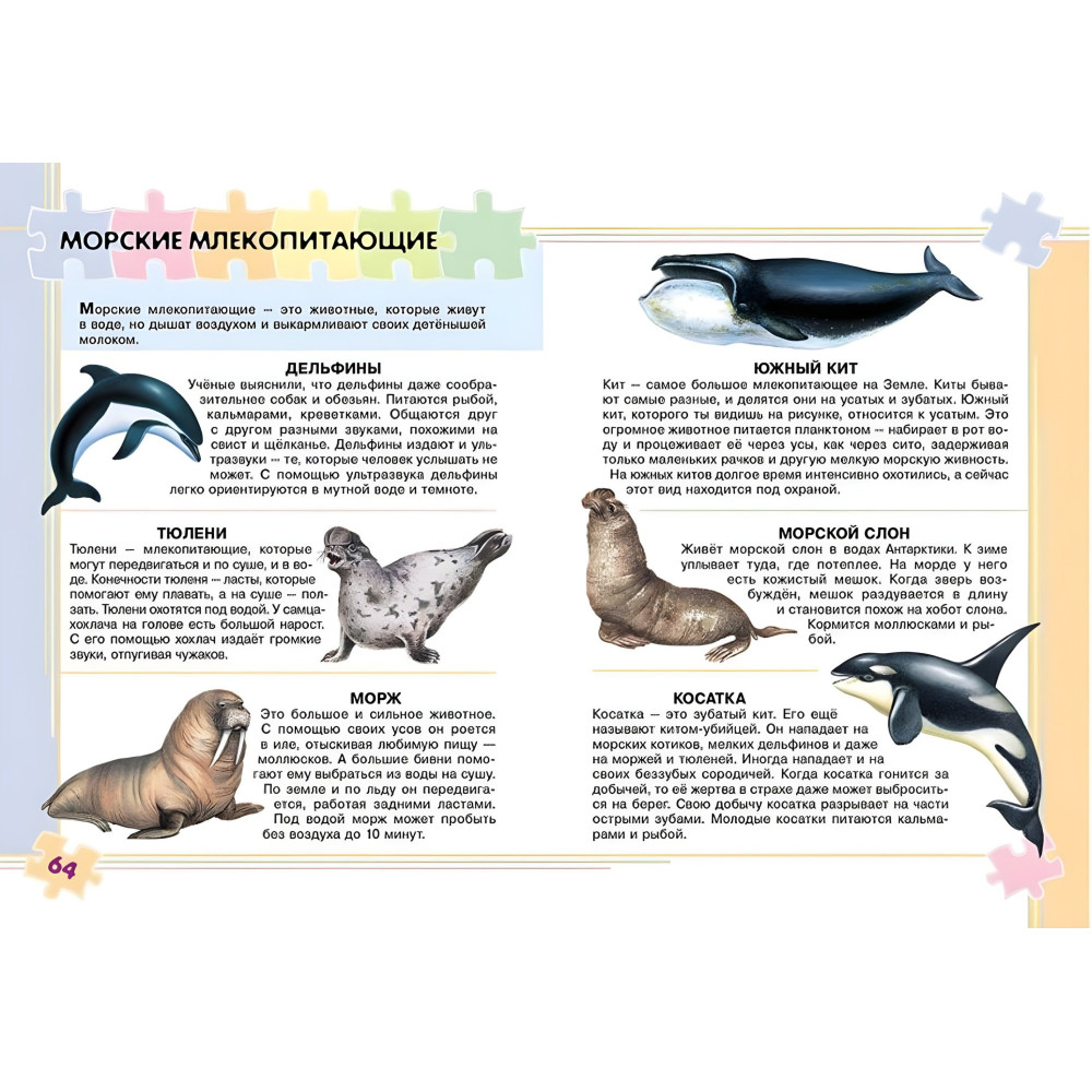 Моя первая энциклопедия Моя первая энциклопедия