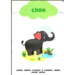 Мої перші наліпки "Зоопарк" Розвивальна книга з наклейками для найменших (9789662848984)