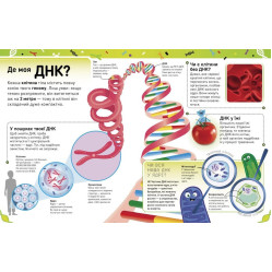 Надзвичайні ДНК. Шалені гени, незламні кодони, верткі хромосоми Надзвичайні ДНК. Шалені гени, незламні кодони, верткі хромосоми